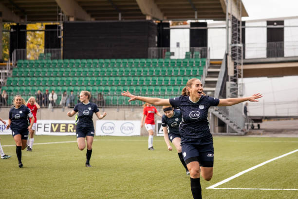 的复杂交织 的复杂交织